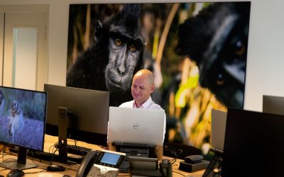 Natuur, groen en apen: IT-partij Betabit bevindt zich op het mooiste plekje van Apeldoorn